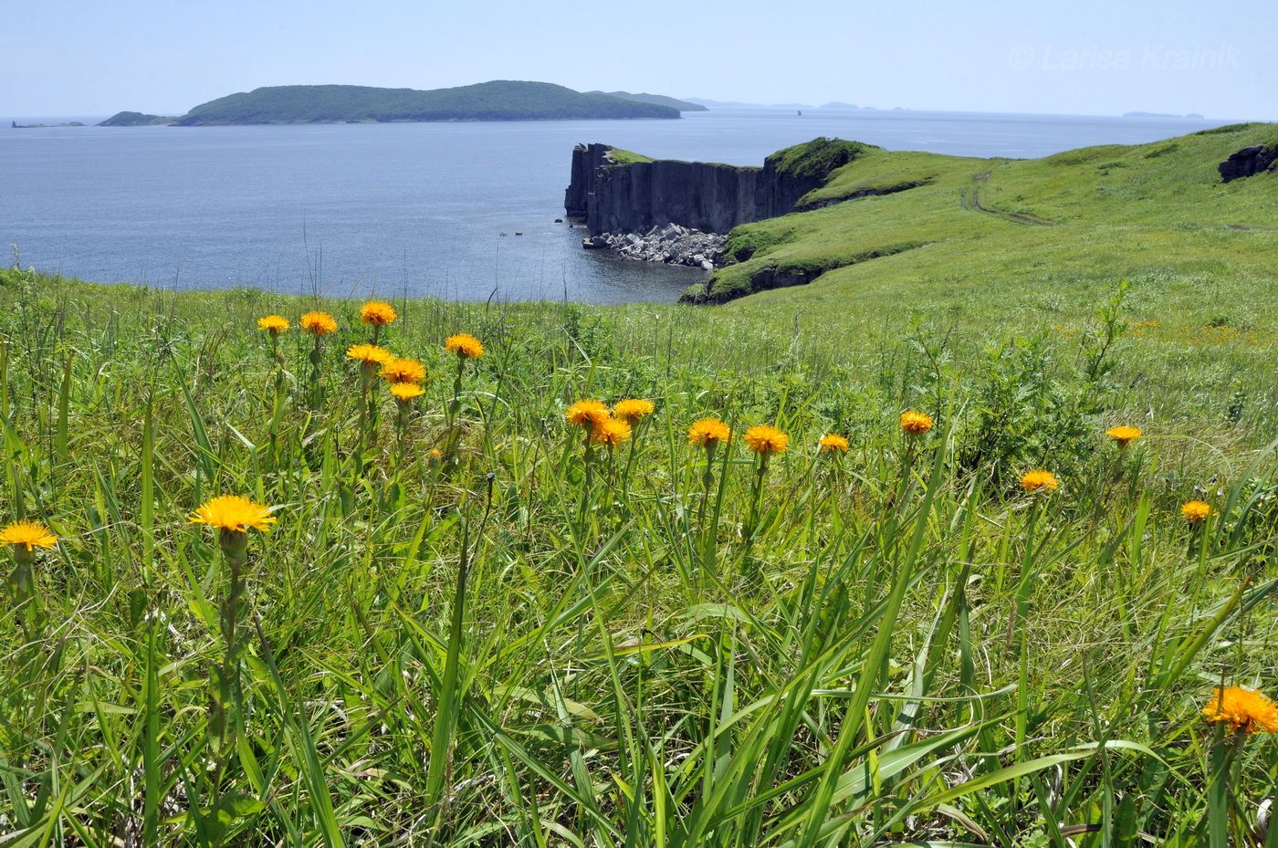 Полуостров Брюса, image of landscape/habitat.