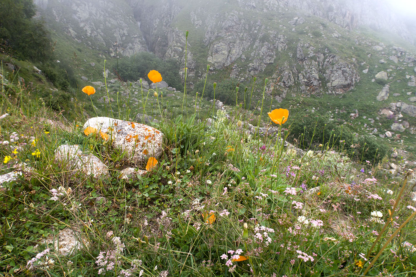 Водопад на притоке Чайнашки, image of landscape/habitat.