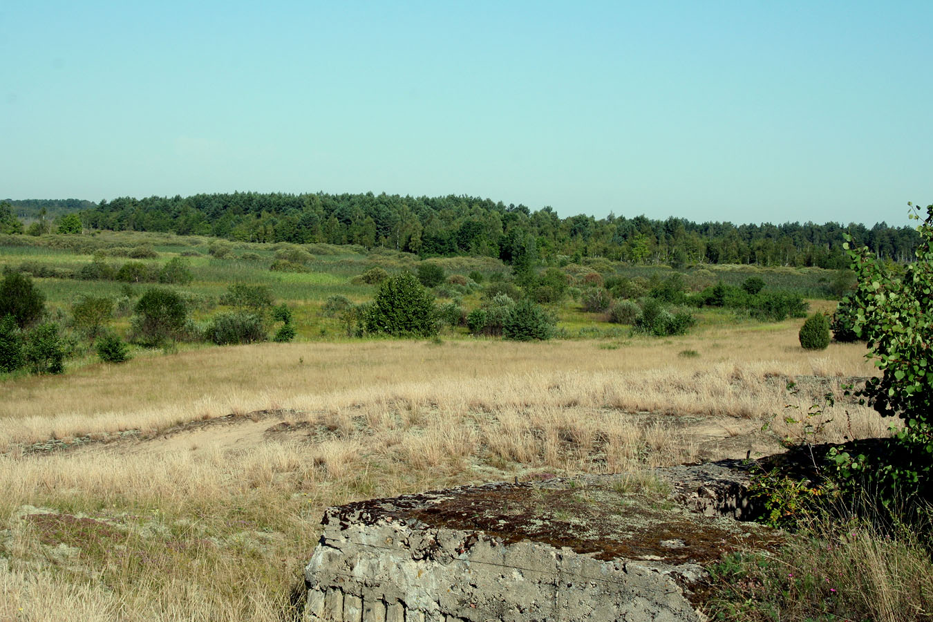 Млын, image of landscape/habitat.