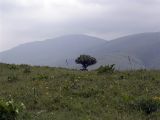 Image of landscape