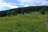 Image of landscape