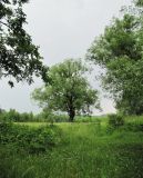 Голубое озеро, image of landscape/habitat.