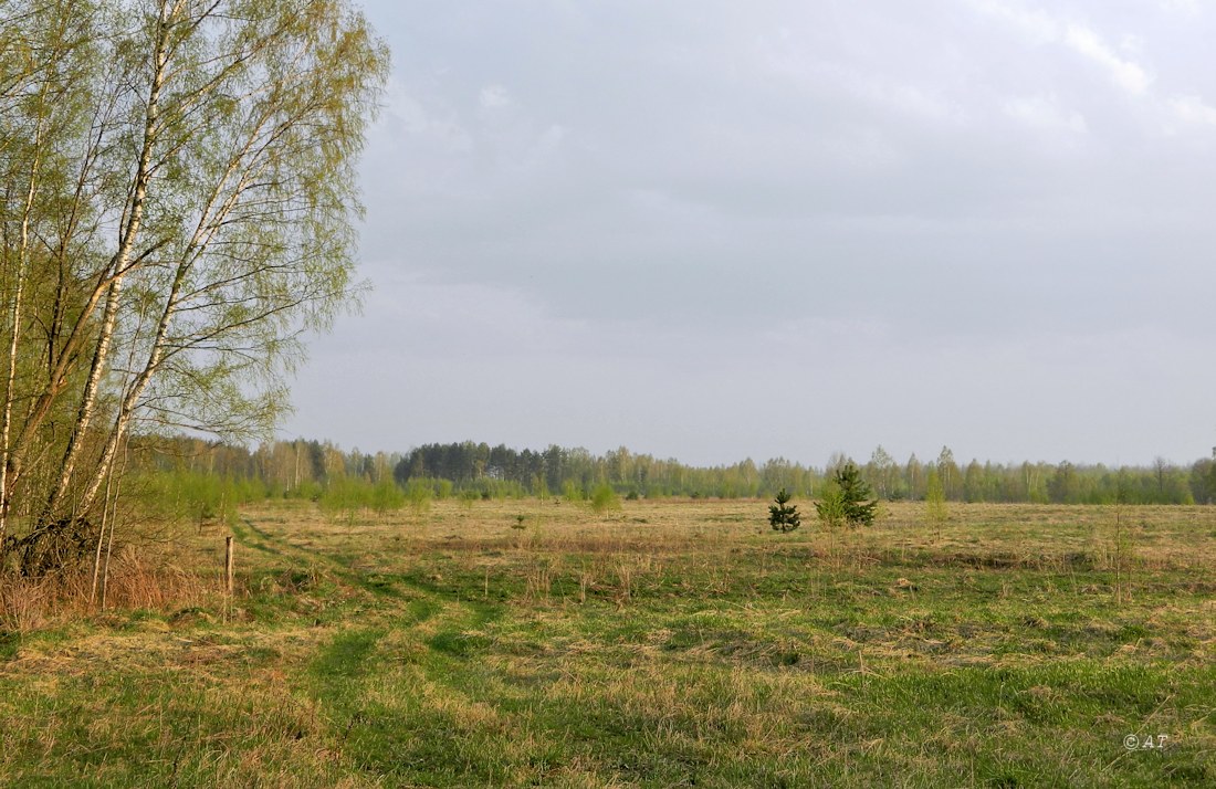 Жарь, image of landscape/habitat.