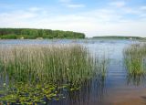 Рыбинское водохранилище, image of landscape/habitat.