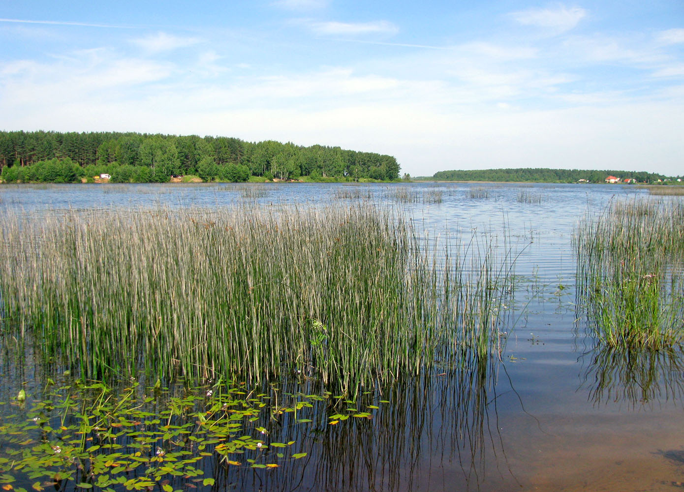Рыбинское водохранилище, изображение ландшафта.