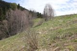 Image of landscape