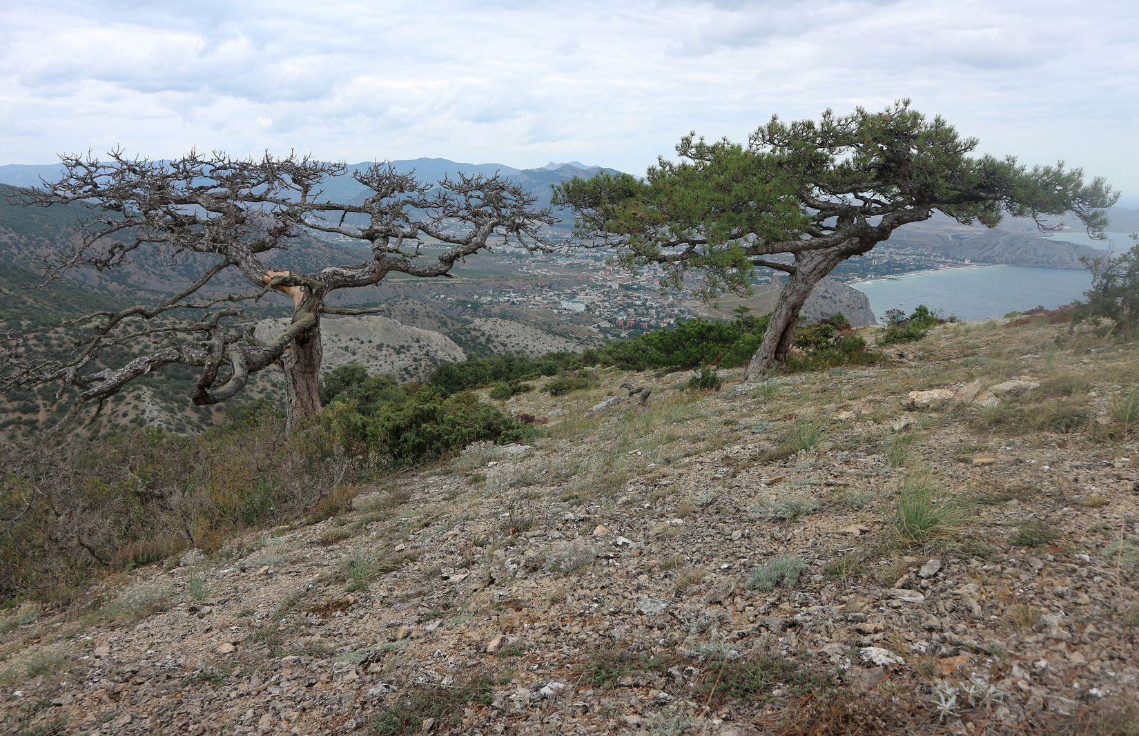 Сокол, image of landscape/habitat.