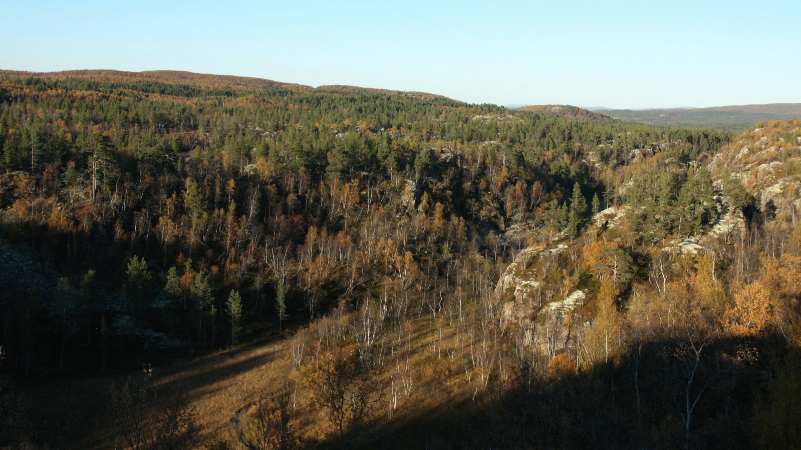 Могильный Ров, image of landscape/habitat.