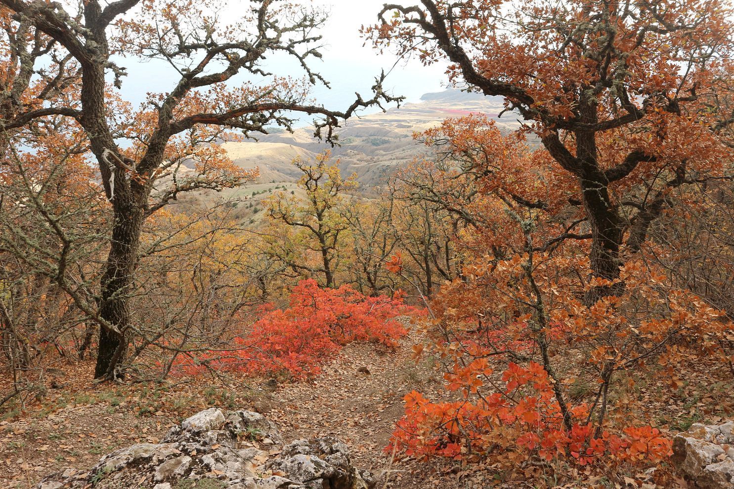 Эчкидаг, изображение ландшафта.