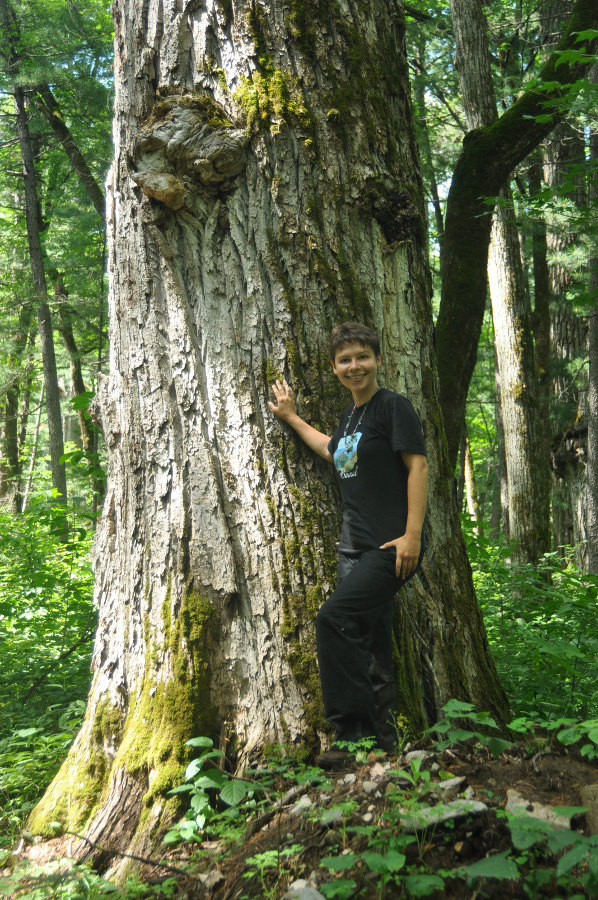 Долина реки Серебрянка, image of landscape/habitat.