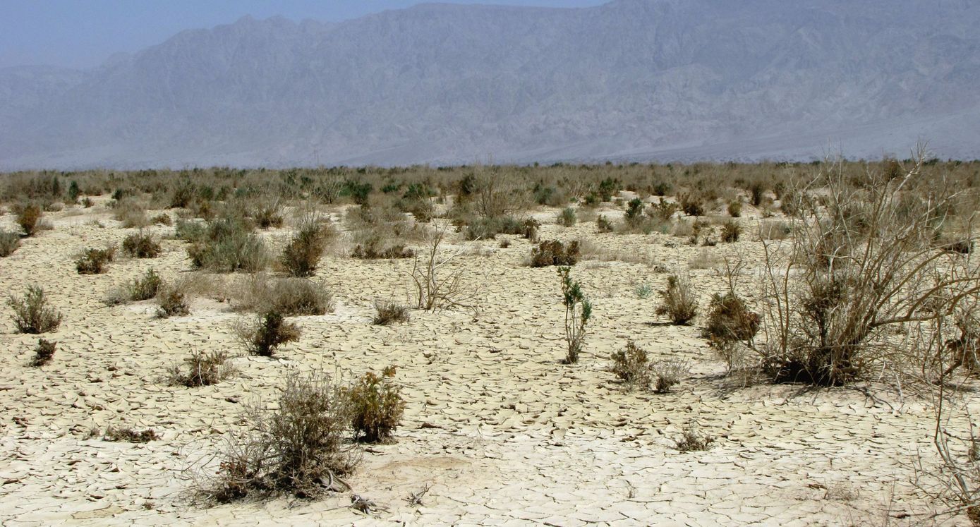 Эмек Арава, image of landscape/habitat.