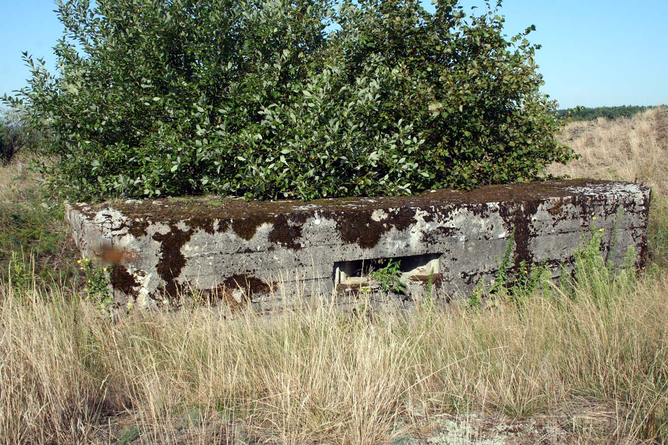 Млын, image of landscape/habitat.