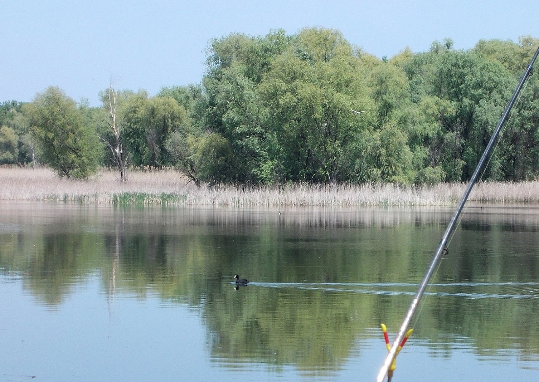 Окрестности села Разумовка, image of landscape/habitat.