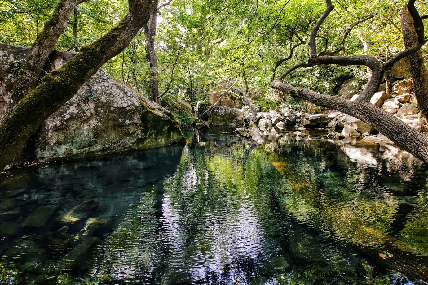 Алупкинский (Воронцовский) парк, image of landscape/habitat.