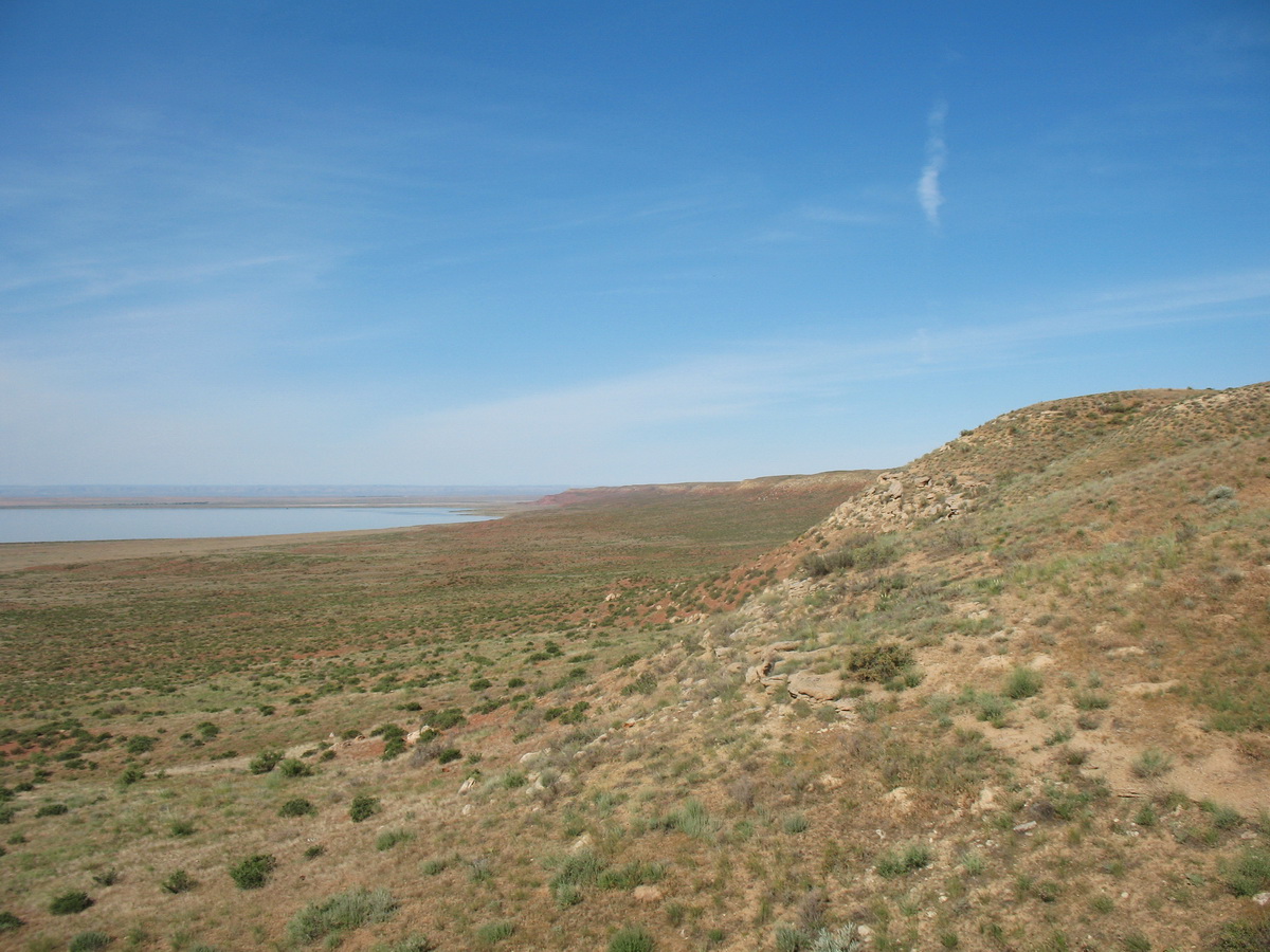 Ащиколь, image of landscape/habitat.