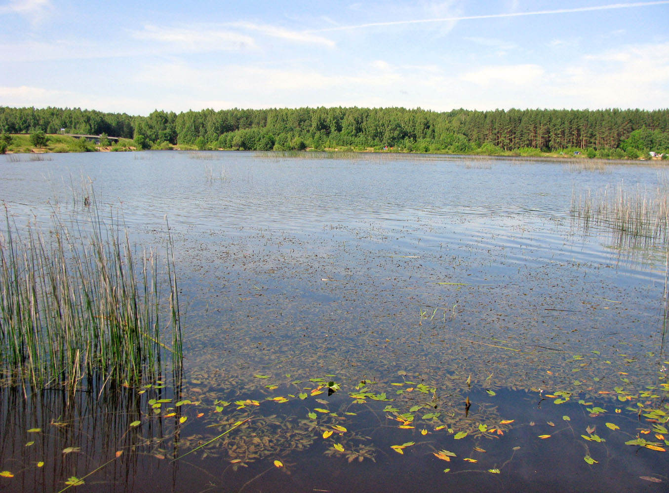 Рыбинское водохранилище, изображение ландшафта.