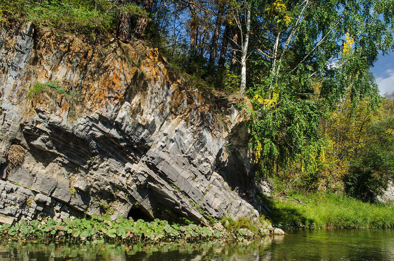 Окрестности Бакеевского моста, image of landscape/habitat.