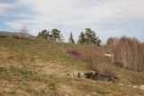 Image of landscape