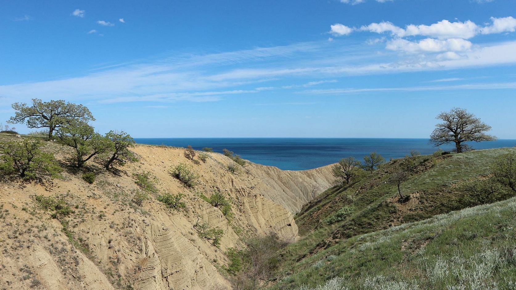 Лисья бухта, image of landscape/habitat.