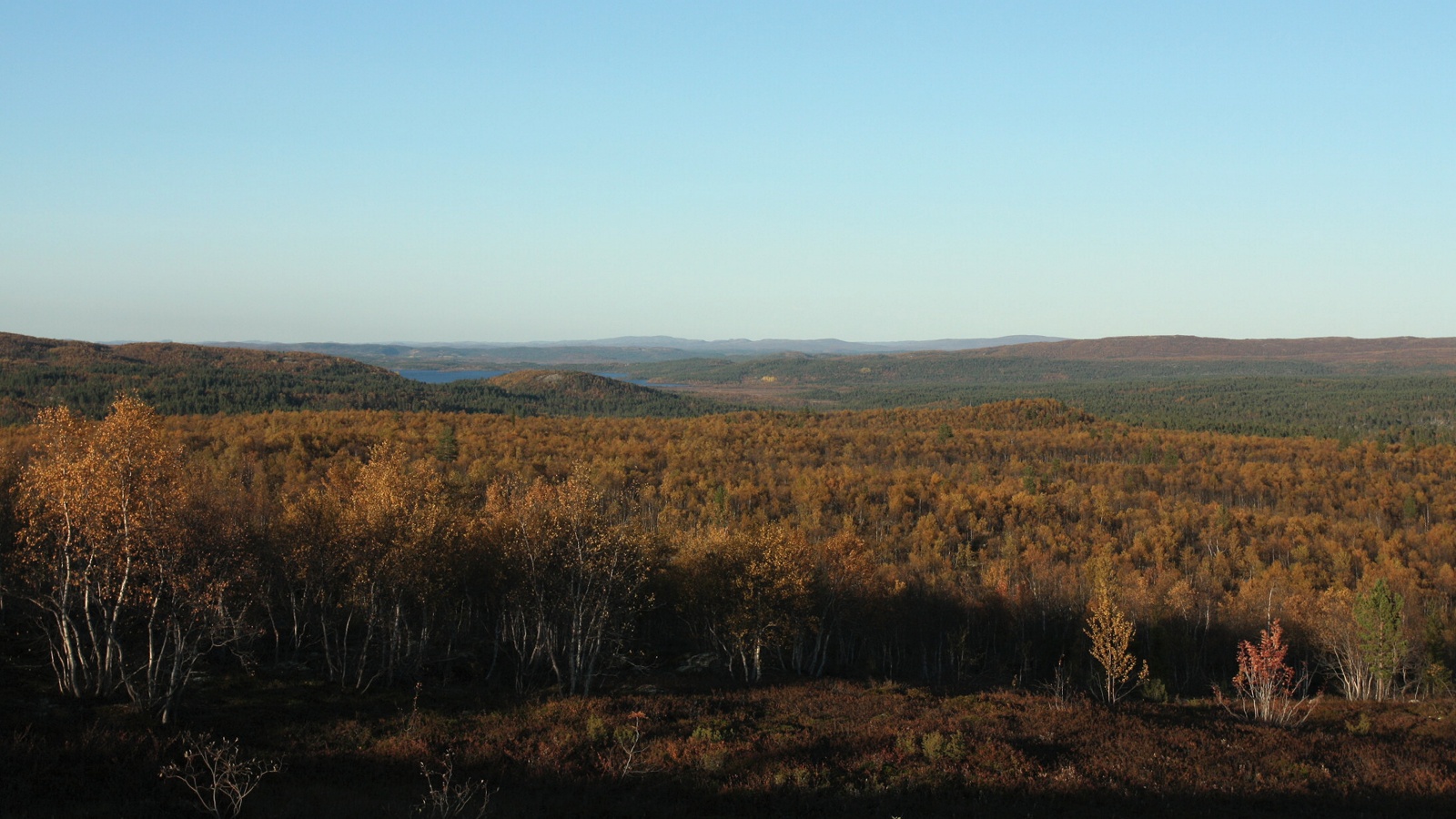 Могильный Ров, image of landscape/habitat.