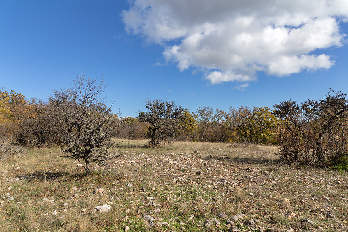 Урочище Парагильмен, image of landscape/habitat.