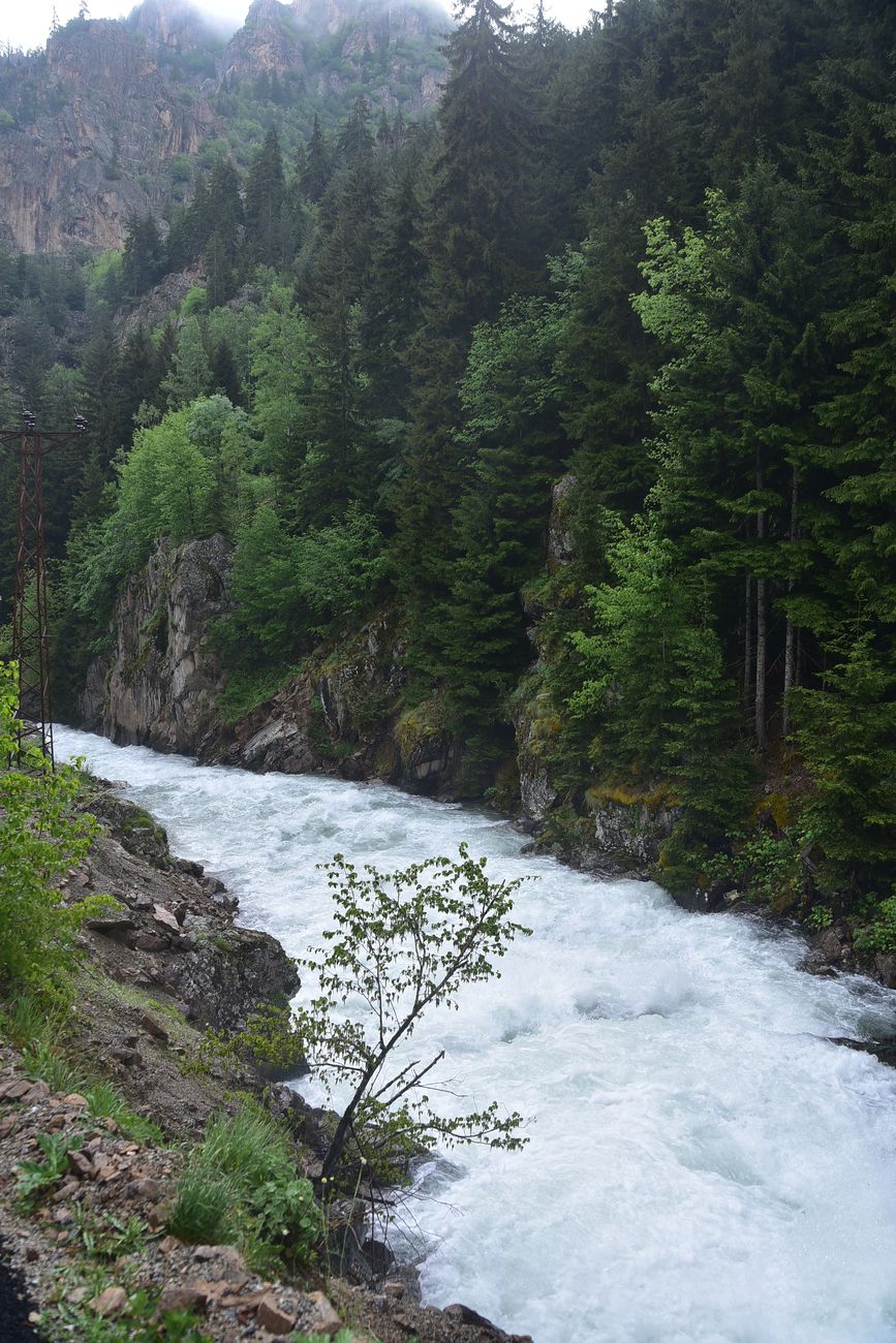 Водопад на притоке, image of landscape/habitat.