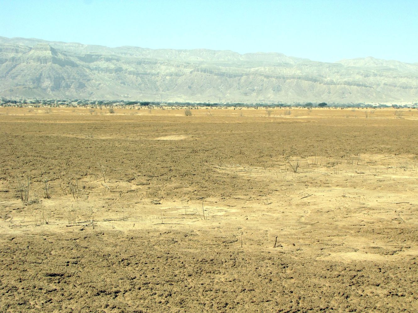 Эмек Арава, image of landscape/habitat.