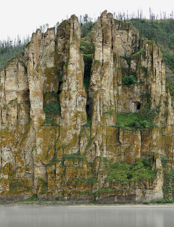 Ленские столбы, image of landscape/habitat.