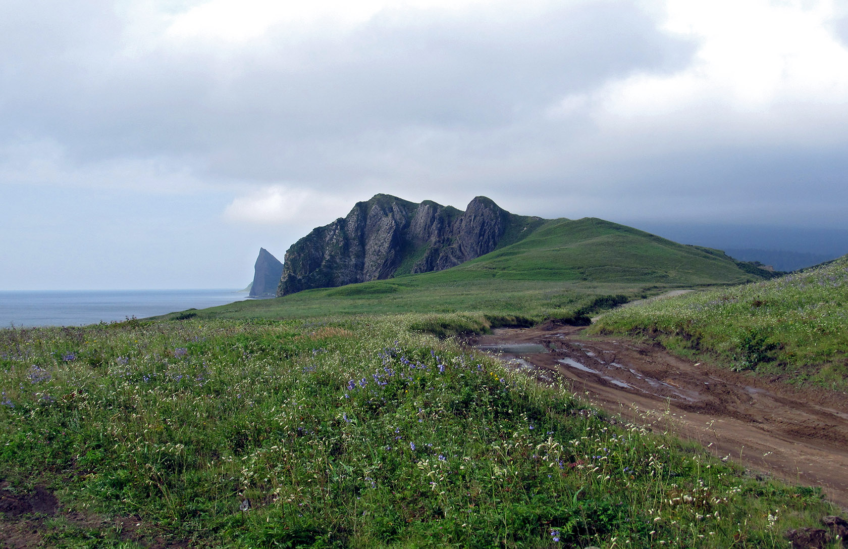 Остров Кунашир, image of landscape/habitat.
