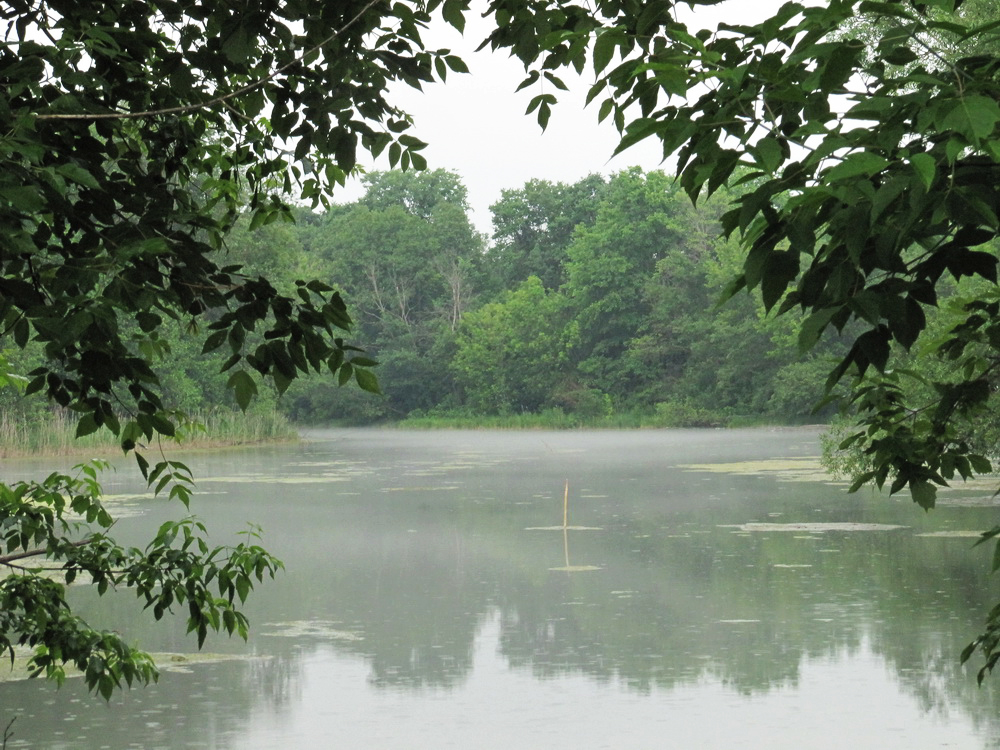 Голубое озеро, image of landscape/habitat.