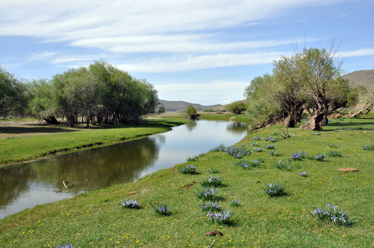 Долина реки Орхон, image of landscape/habitat.