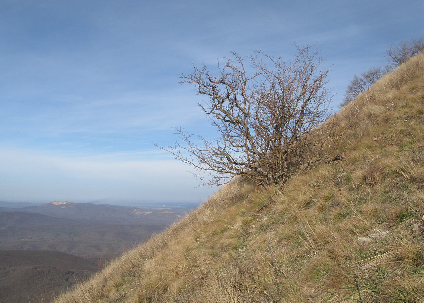 Собер-Баш, image of landscape/habitat.