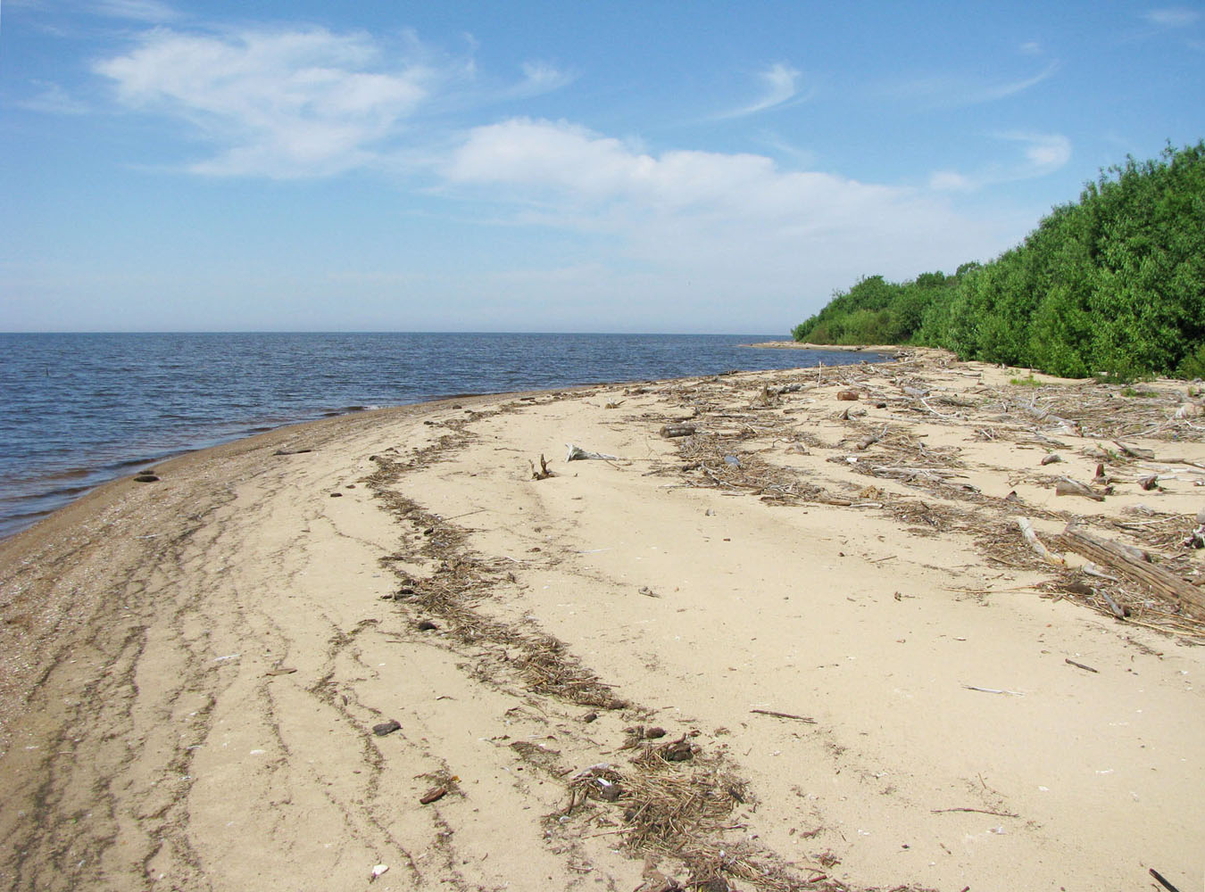 Рыбинское водохранилище, изображение ландшафта.