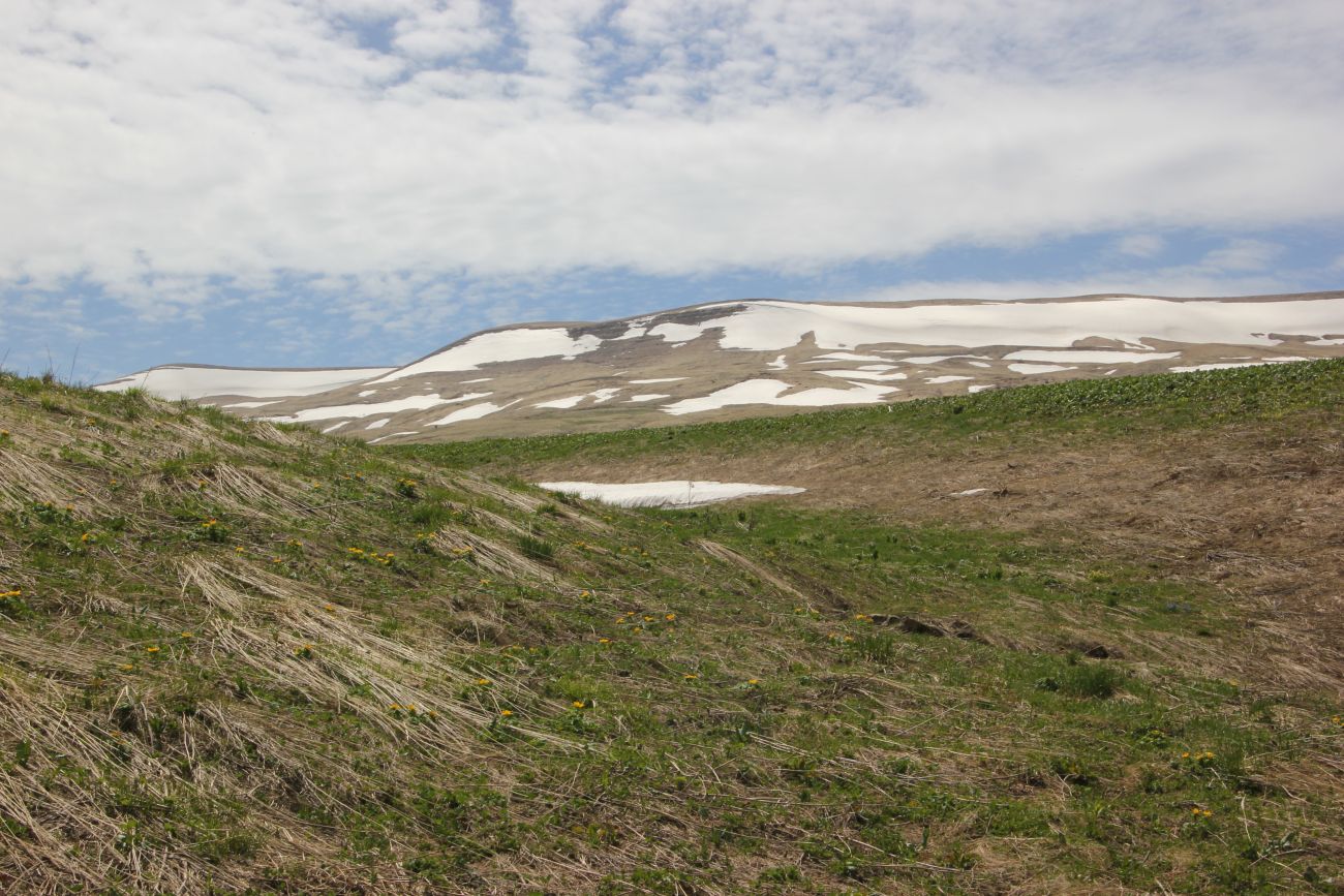 Окрестности ручья Молочка, image of landscape/habitat.