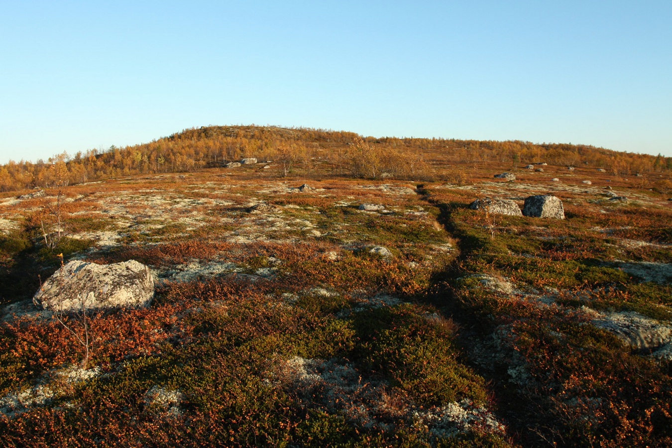 Могильный Ров, image of landscape/habitat.