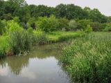 Верховье реки Кальмиус, image of landscape/habitat.