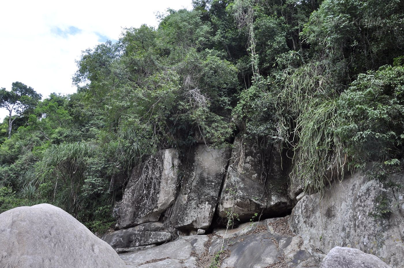 Водопады БаХо, image of landscape/habitat.