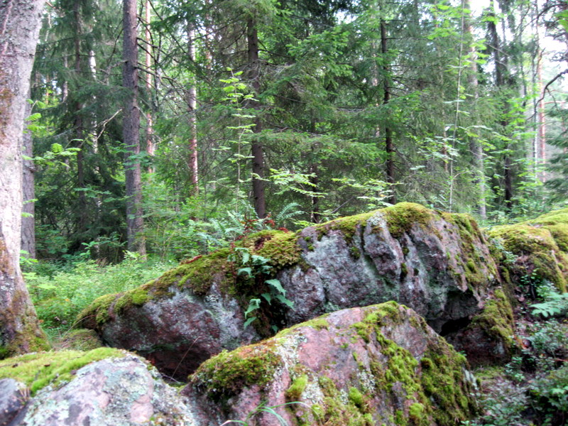 Иматра, image of landscape/habitat.