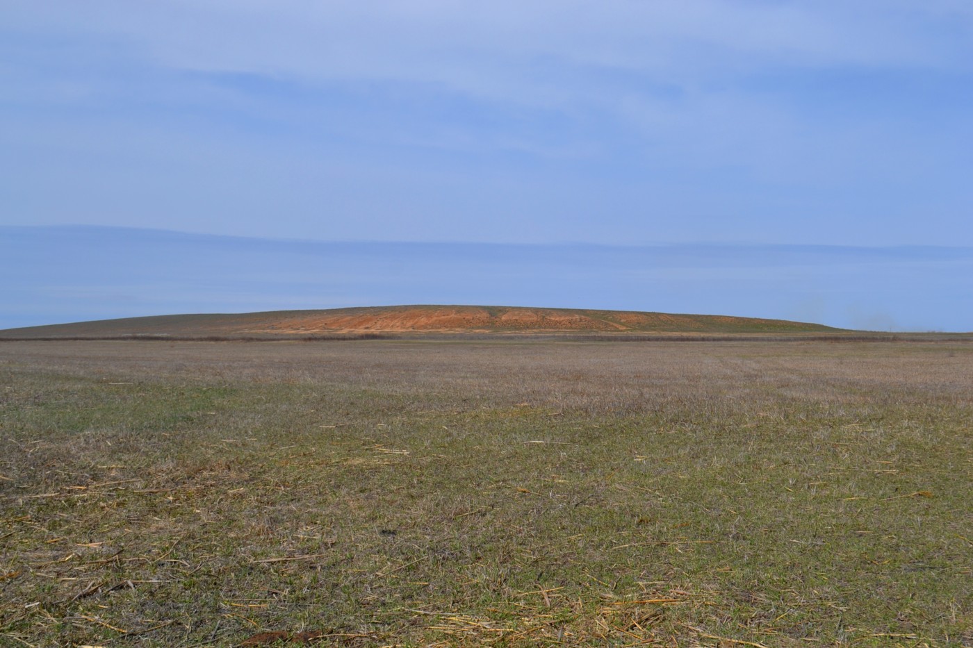 Дельта (средняя зона), image of landscape/habitat.