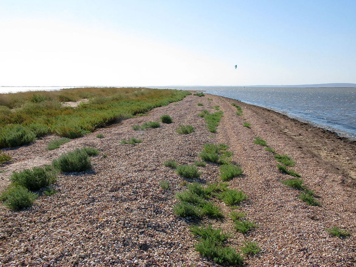 Кизилташский лиман, image of landscape/habitat.