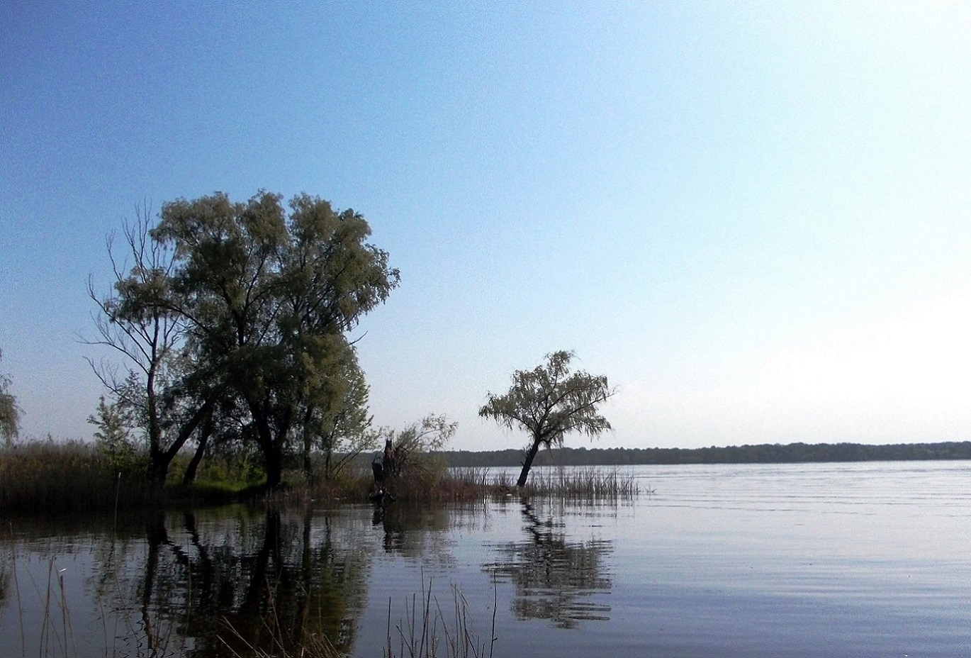 Окрестности села Разумовка, image of landscape/habitat.