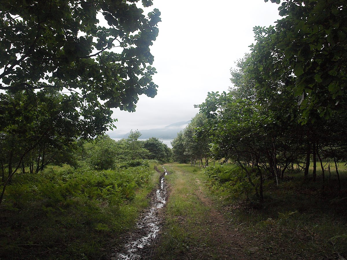 Бухта Неприметная, image of landscape/habitat.