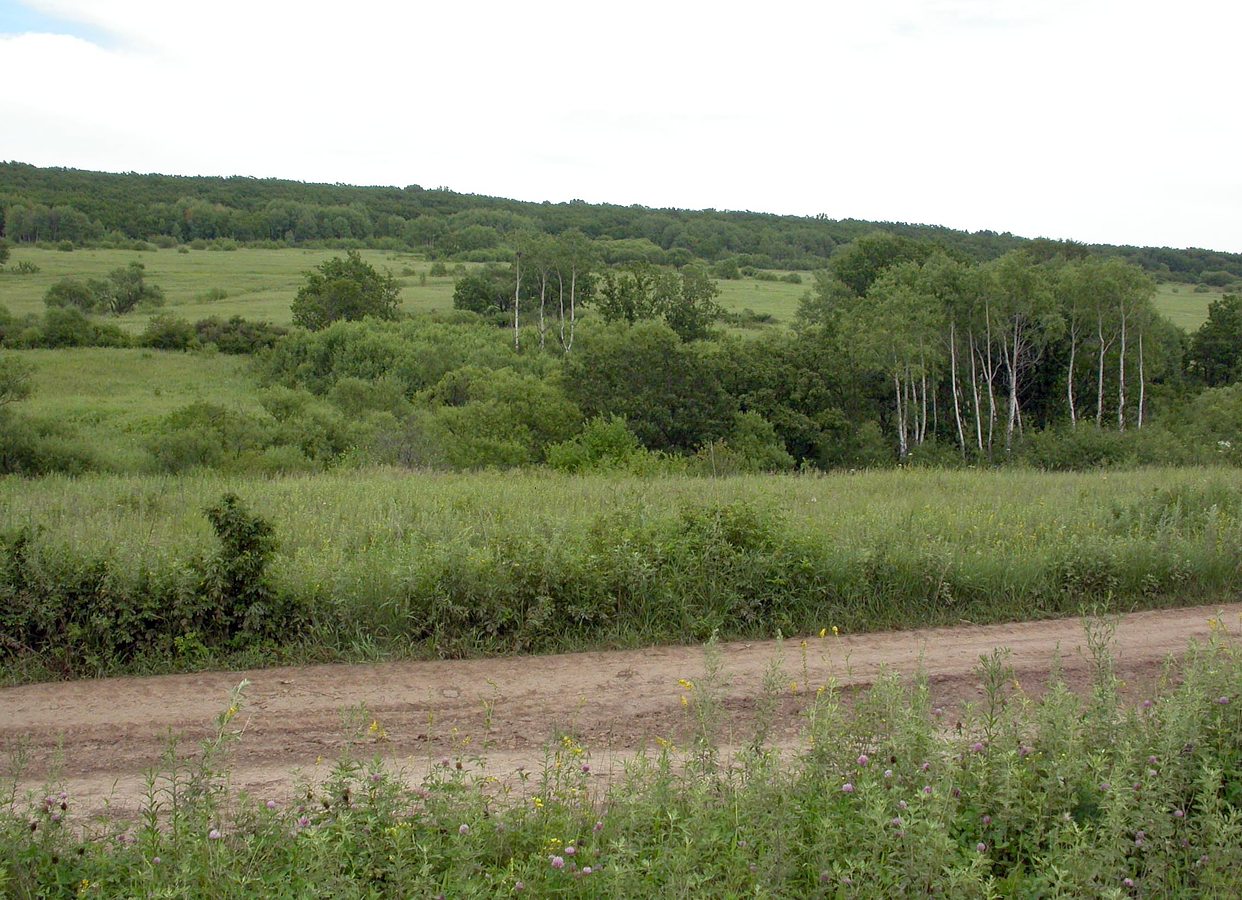 Кроуновка, image of landscape/habitat.