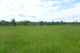 Image of landscape