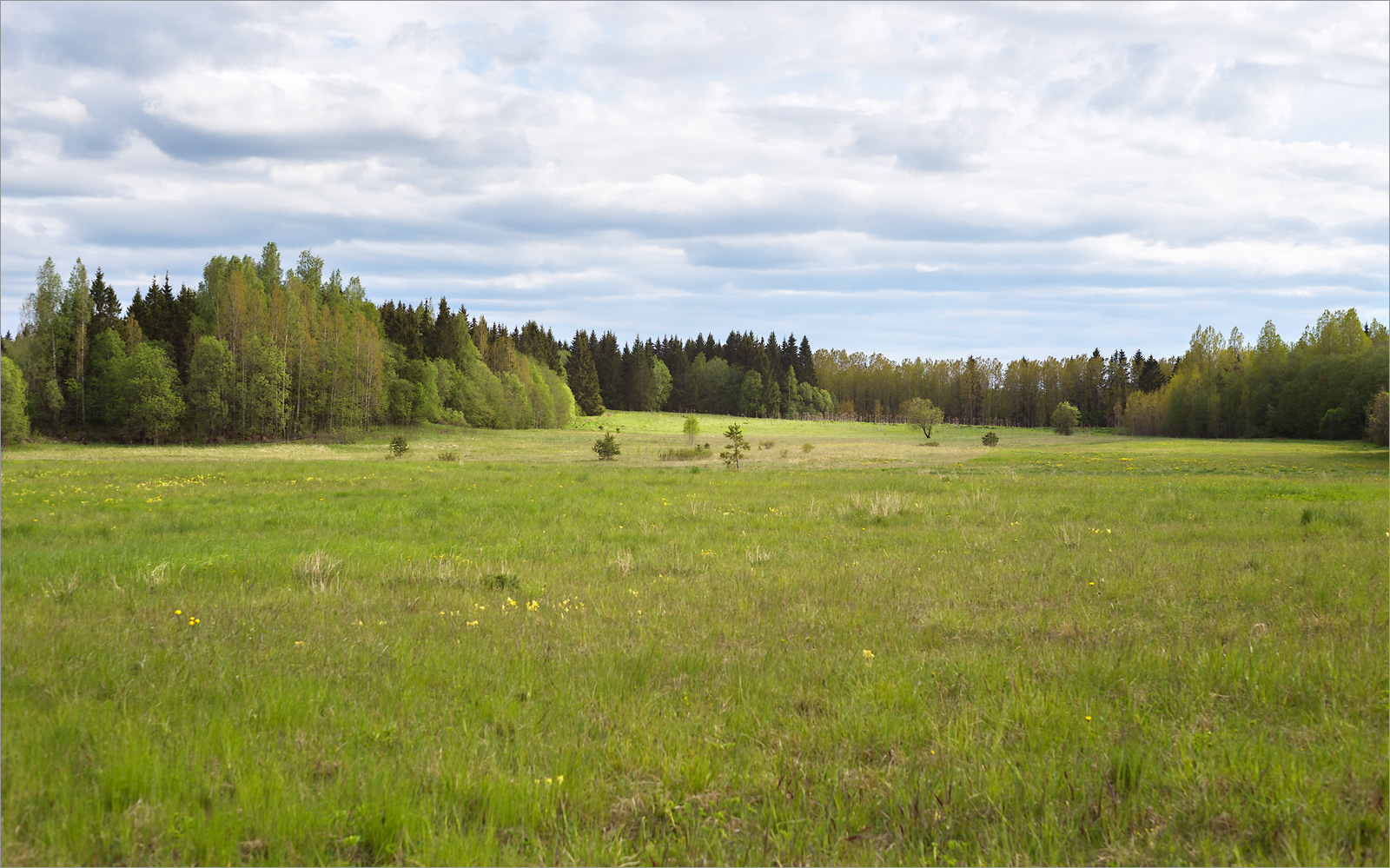 Пятая Гора, image of landscape/habitat.