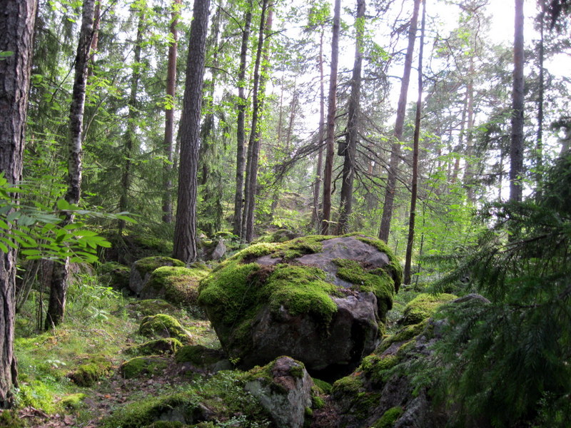 Иматра, image of landscape/habitat.