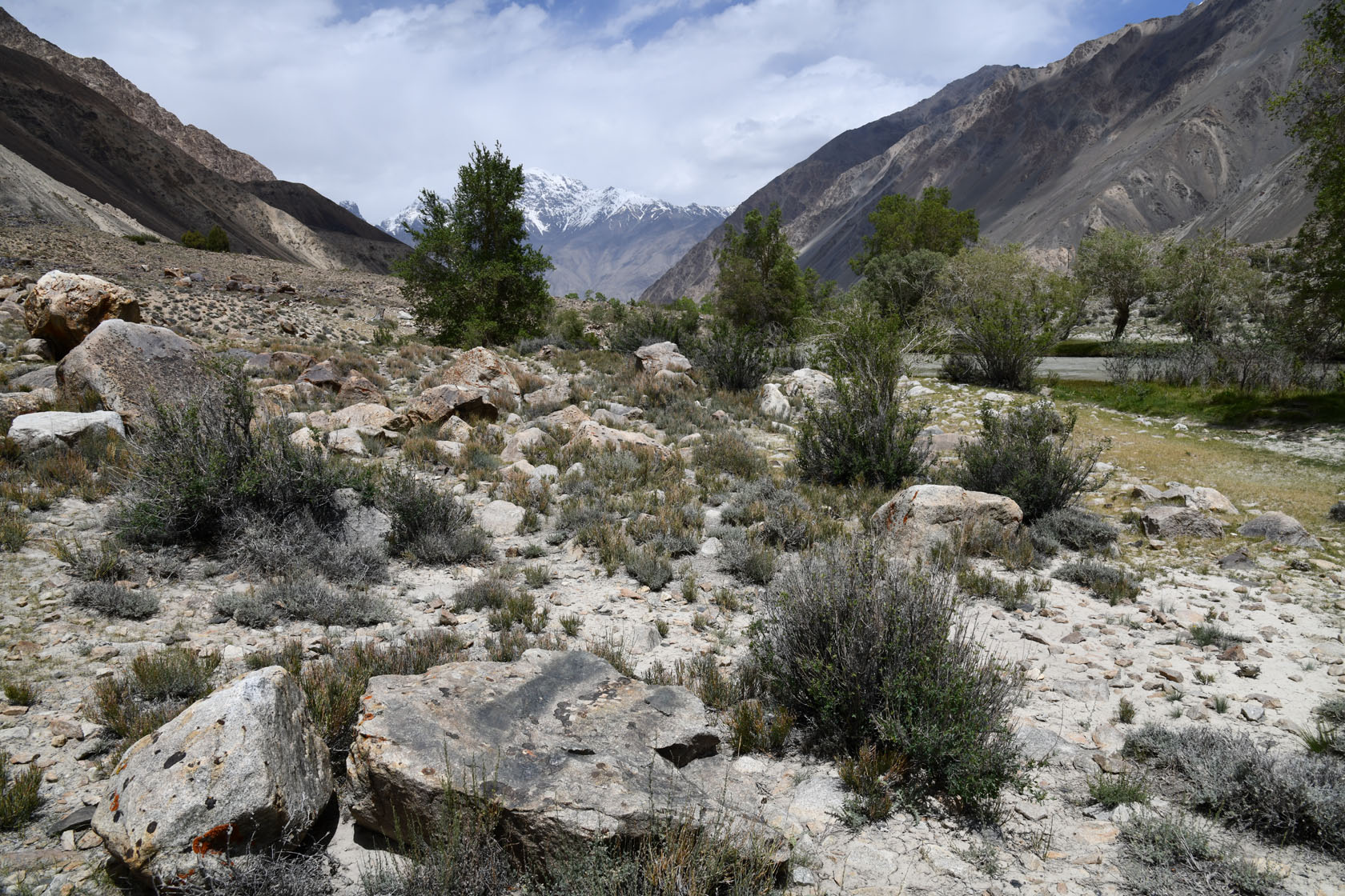 Ирхтский залив, image of landscape/habitat.