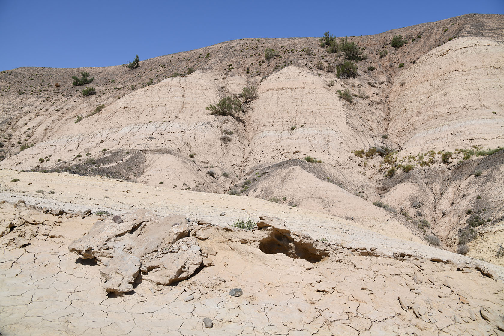 Бала-Богуты, image of landscape/habitat.