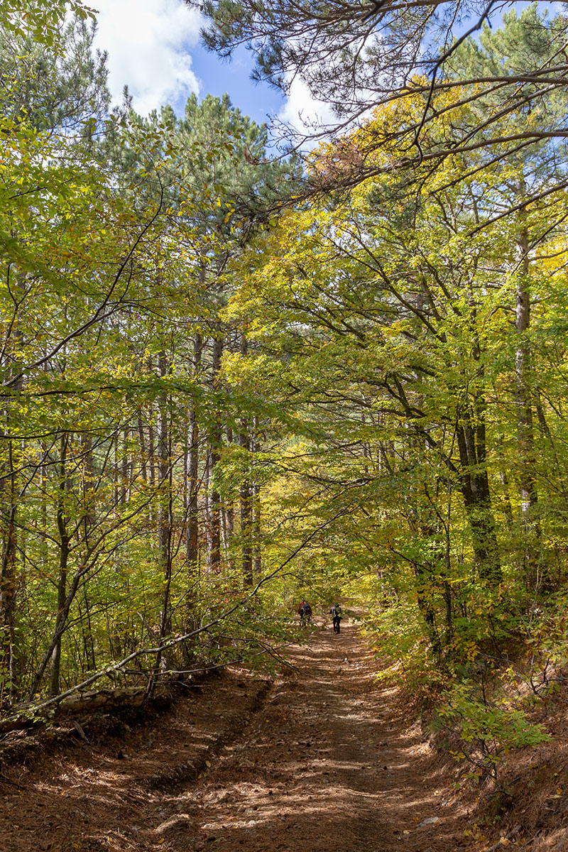 Урочище Парагильмен, image of landscape/habitat.