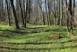 Image of landscape